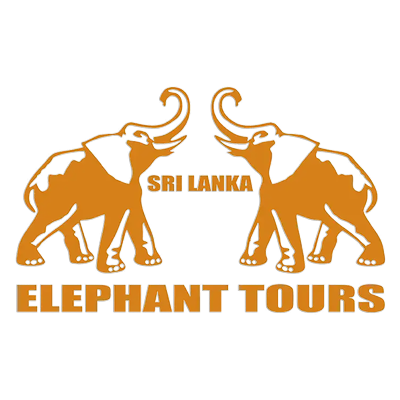 Elephant Tours